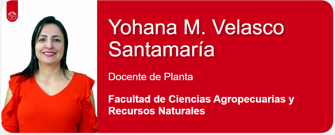 Yohana María Velasco Santamaría